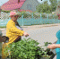 ЛУЧШЕЕ ОТ ПРИРОДЫ ДЛЯ САДА И ОГОРОДА - Знамя Октября