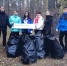 Школьный десант наводит порядок в лесу - Знамя Октября