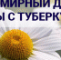Стартовал месячник борьбы с туберкулёзом - Знамя Октября