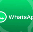WhatsApp борется с распространением дезинформации о коронавирусе - Знамя Октября