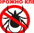 Клещи покусали более тысячи жителей Липецкой области - Знамя Октября