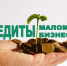 Региональные отделения банков выдали первые займы малому бизнесу под 2% - Знамя Октября