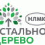 Программа «Стальное дерево» собрала свыше 100 инициатив жителей региона - Знамя Октября