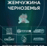 Фестиваль по компьютерному спорту «Жемчужина Черноземья» состоится в Липецкой области - Знамя Октября