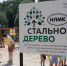 Около 450 социальных идей собрала в регионах программа «Стальное дерево» - Знамя Октября