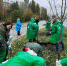 Спасибо за новые деревья! - Знамя Октября
