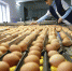 «Рудничное» инвестирует 960 млн рублей в развитие производства сельхозпродукции в Липецкой области - Знамя Октября