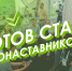Желающие могут принять участие в проекте «Эконаставники» - Знамя Октября