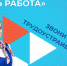 Служба занятости региона и телеканал «Липецкое время» запускают новый проект - Знамя Октября