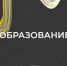 Липчане смогут получить очное топ-образование МВА от ведущей российской бизнес-школы РАНХиГС - Знамя Октября