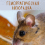Геморрагическая лихорадка с почечным синдромом - Знамя Октября