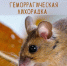 Геморрагическая лихорадка с почечным синдромом - Знамя Октября