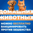 О необходимости проведения профилактической вакцинации против бешенства домашних животных - Добровский муниципальный округ