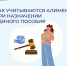 С 1 марта изменились правила учета алиментов при назначении единого пособия Отделением СФР по Липецкой области - Знамя Октября