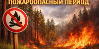 Постановлением Правительства Липецкой области № 163 от 30.03.2026 с 30 марта 2026 года на территории региона объявлен пожароопасный сезон. - Добровский муниципальный округ